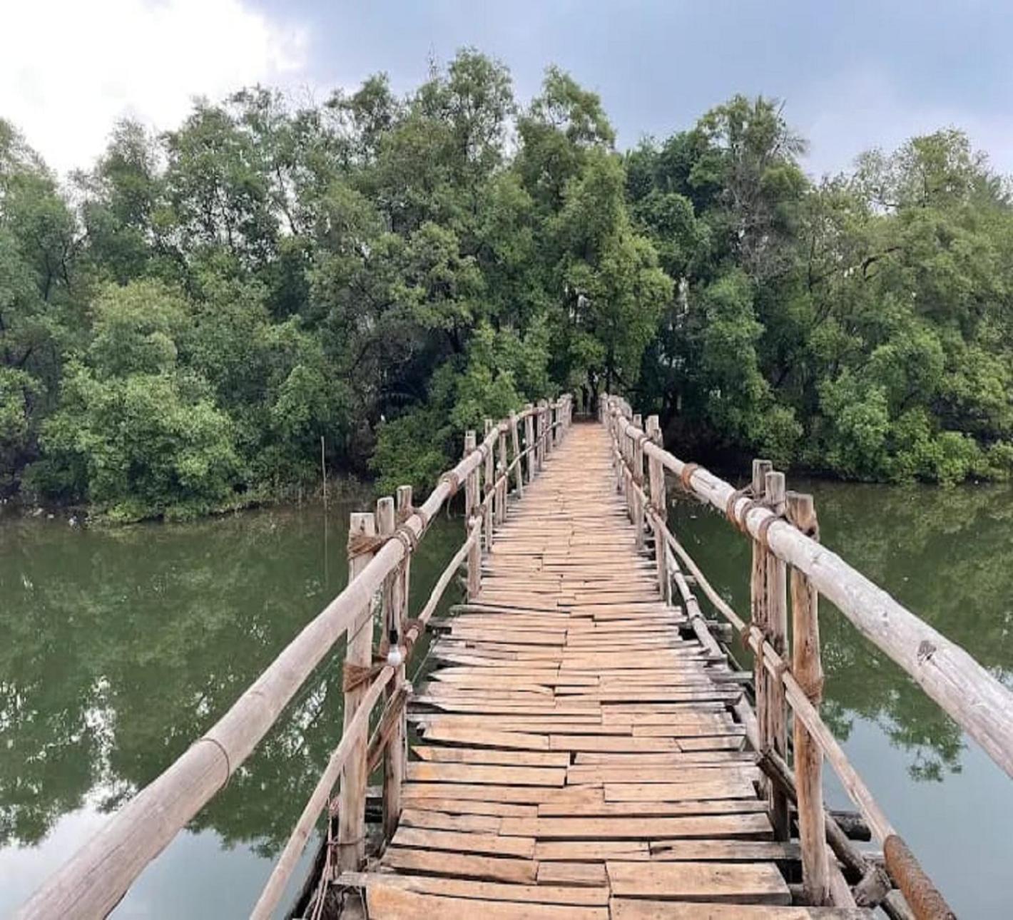 Jamboree Creek Yoga Mandrem Zewnętrze zdjęcie